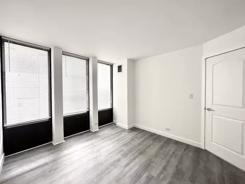 Other - 100 E Walton St #11E, Chicago, IL 60611 photo 3 of 5