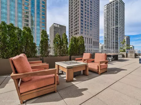 Other - 159 E Walton Pl #18A, Chicago, IL 60611 photo 2 of 12