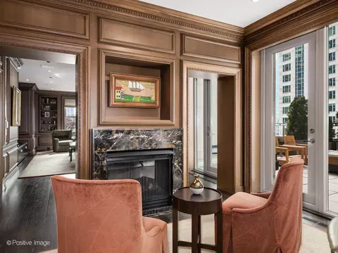 Living - 159 E Walton Pl #18A, Chicago, IL 60611 photo 6 of 8