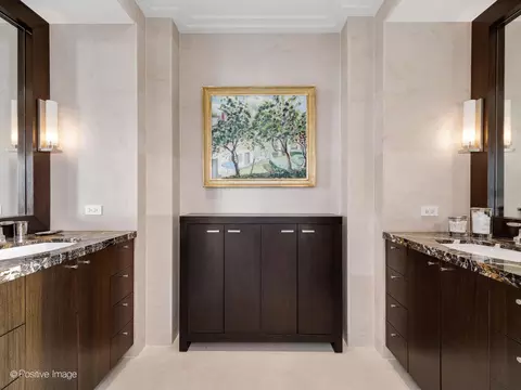 Bath - 159 E Walton Pl #18A, Chicago, IL 60611 photo 4 of 7