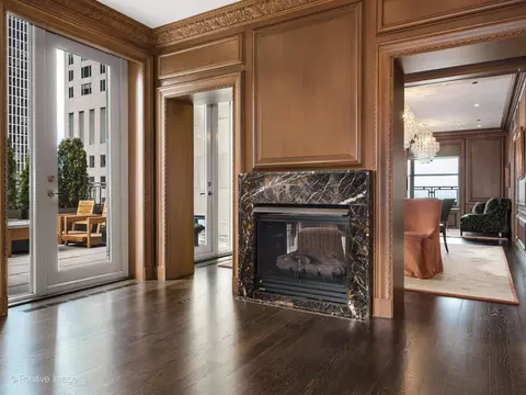Other - 159 E Walton Pl #18A, Chicago, IL 60611 photo 5 of 12