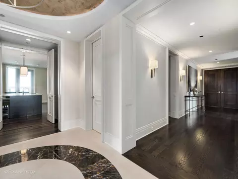 Entry Way - 159 E Walton Pl #18A, Chicago, IL 60611 photo 3 of 3