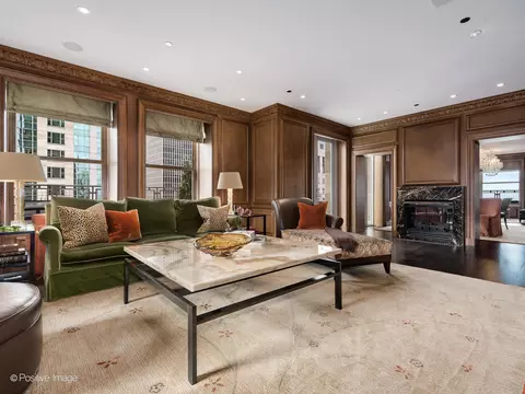 Living - 159 E Walton Pl #18A, Chicago, IL 60611 photo 3 of 8