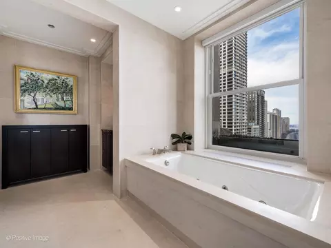 Bath - 159 E Walton Pl #18A, Chicago, IL 60611 photo 2 of 7