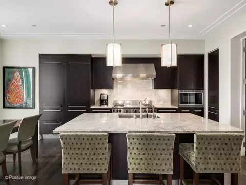 Kitchen - 159 E Walton Pl #18A, Chicago, IL 60611 photo 3 of 6