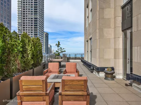 Other - 159 E Walton Pl #18A, Chicago, IL 60611 photo 3 of 12