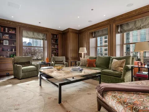 Living - 159 E Walton Pl #18A, Chicago, IL 60611 photo 2 of 8