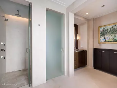 Bath - 159 E Walton Pl #18A, Chicago, IL 60611 photo 3 of 7
