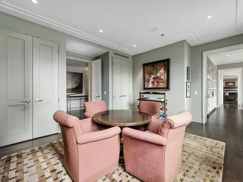Other - 159 E Walton Pl #18A, Chicago, IL 60611 photo 8 of 12