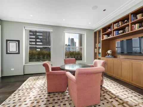 Other - 159 E Walton Pl #18A, Chicago, IL 60611 photo 7 of 12