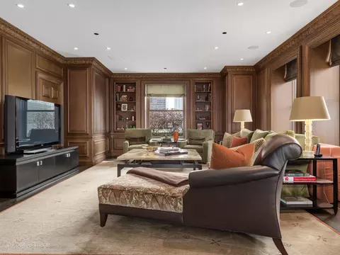 Living - 159 E Walton Pl #18A, Chicago, IL 60611 photo 4 of 8