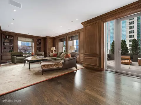 Living - 159 E Walton Pl #18A, Chicago, IL 60611 photo 1 of 8