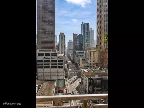 View/Area - 159 E Walton Pl #18A, Chicago, IL 60611 photo 2 of 4
