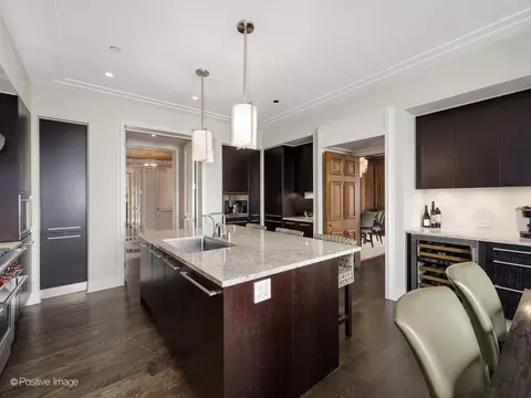 Kitchen - 159 E Walton Pl #18A, Chicago, IL 60611 photo 5 of 6