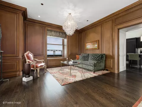 Living - 159 E Walton Pl #18A, Chicago, IL 60611 photo 7 of 8
