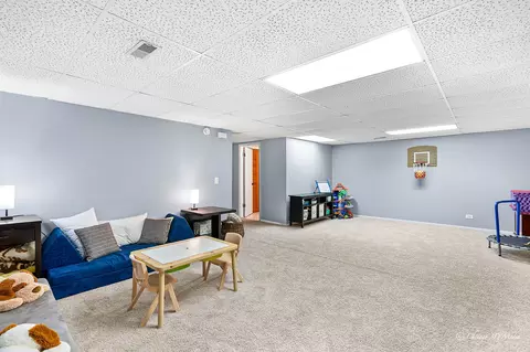 1204 Beau Dr, Park Ridge, IL 60068 photo 15