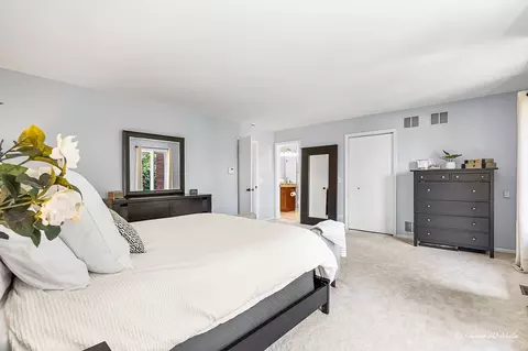 1204 Beau Dr, Park Ridge, IL 60068 photo 10
