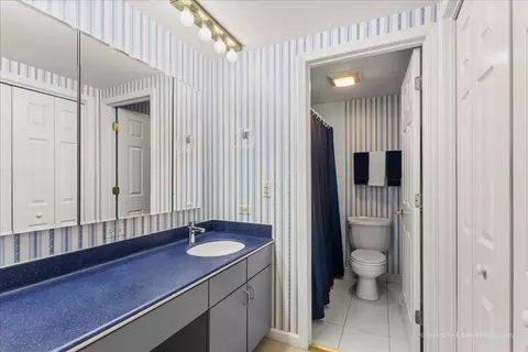 Bath - 40 Kyle Ct, Willowbrook, IL 60527 photo 2 of 3