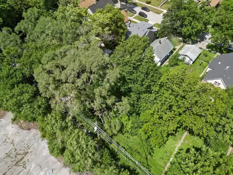 View/Area - 317 E 136th Pl, Chicago, IL 60827 photo 3 of 4