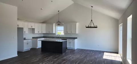 Kitchen - 533 Carriage Ct, Dwight, IL 60420 photo 2 of 2
