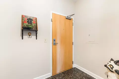 Entry Way - 5 E 14th Pl #605, Chicago, IL 60605 photo 3 of 3