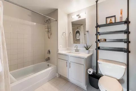 Bath - 5 E 14th Pl #605, Chicago, IL 60605 photo 3 of 3