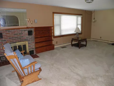 4060 S Old Mazon Rd, Mazon, IL 60444 photo 17