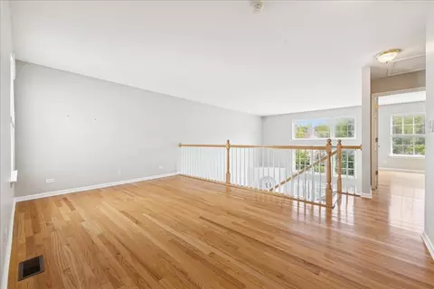 Living - 1433 Quincy Bridge Ct, Bartlett, IL 60103 photo 4 of 4