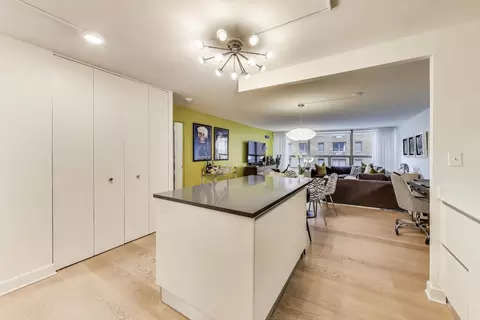 Kitchen - 110 E Delaware Pl #1002, Chicago, IL 60611 photo 3 of 4