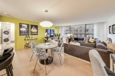 Living - 110 E Delaware Pl #1002, Chicago, IL 60611 photo 1 of 3