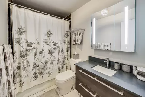 Bath - 110 E Delaware Pl #1002, Chicago, IL 60611 photo 2 of 2