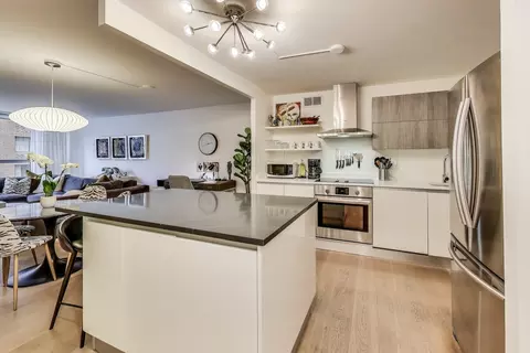 Kitchen - 110 E Delaware Pl #1002, Chicago, IL 60611 photo 1 of 4