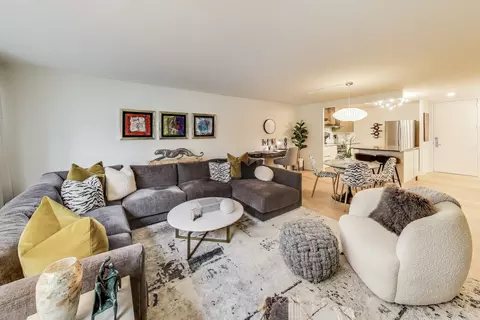 Living - 110 E Delaware Pl #1002, Chicago, IL 60611 photo 2 of 3