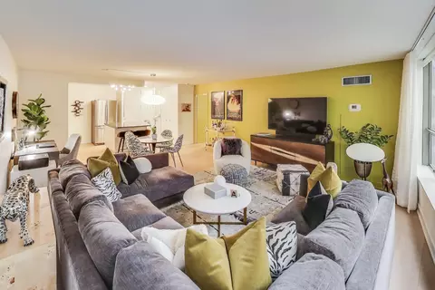 Living - 110 E Delaware Pl #1002, Chicago, IL 60611 photo 3 of 3