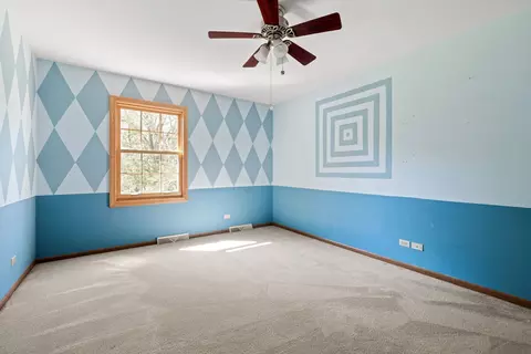 522 Joy Ln, Sleepy Hollow, IL 60118 photo 18