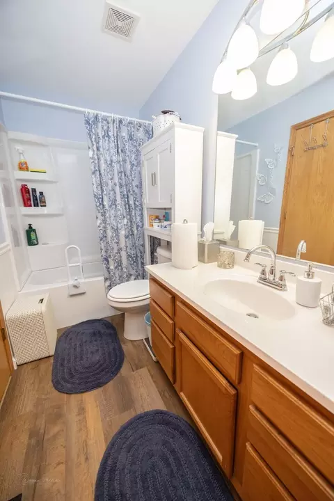 Bath - 644 Spring Leaf Dr, Joliet, IL 60431 photo 1 of 1