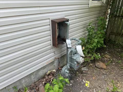 Exterior - 56 Apache St, Park Forest, IL 60466 photo 4 of 6