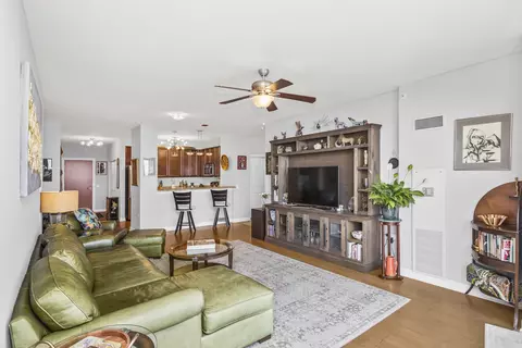 100 E 14th St #2702, Chicago, IL 60605 photo 4