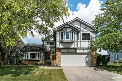 217 Cortez Ct, Naperville, IL 60563