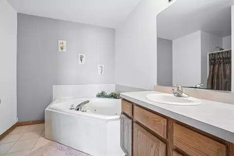 Bath - 1665 Fox Hound Trl, Beecher, IL 60401 photo 2 of 5