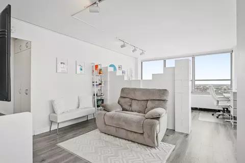 Living - Undisclosed, Chicago, IL 60657 photo 2 of 3