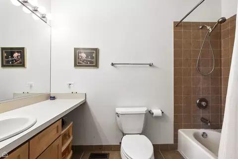 1258 W Cottage Pl, Chicago, IL 60607 photo 16