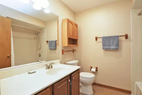 910 S Vista Dr, Algonquin, IL 60102 photo 15