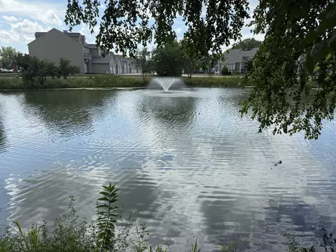 12 Sextant Dr, Third Lake, IL 60030 photo 30