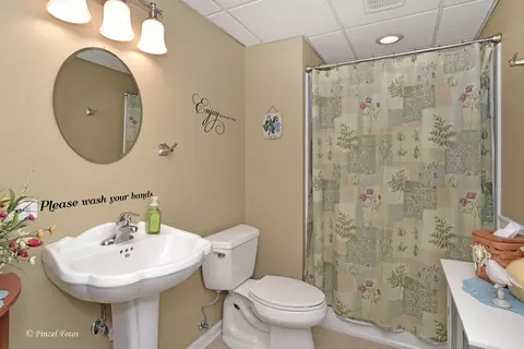 459 E Amberside Dr, Elgin, IL 60124 photo 12