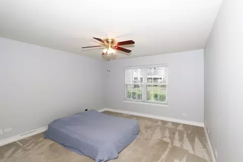 1003 Interloch Ct, Algonquin, IL 60102 photo 18