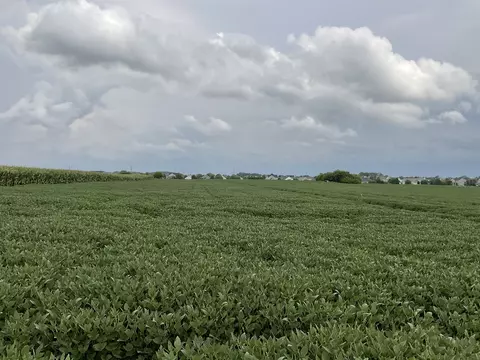 Other - 10 S 38 Acres S Heggs Rd, Plainfield, IL 60585 photo 4 of 7