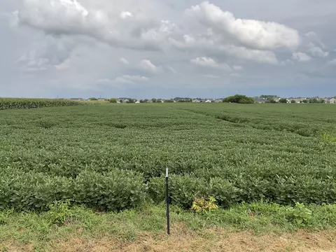 Other - 10 S 38 Acres S Heggs Rd, Plainfield, IL 60585 photo 2 of 7