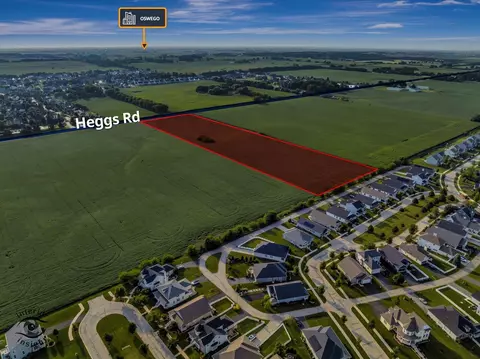 View/Area - 10 S 38 Acres S Heggs Rd, Plainfield, IL 60585 photo 10 of 20