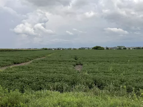 Other - 10 S 38 Acres S Heggs Rd, Plainfield, IL 60585 photo 5 of 7